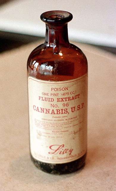Eli Lilly Cannabis Fluid extract bottle