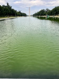 Reflecting Pool
