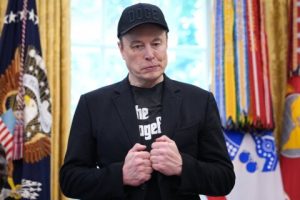 Elon Musk DOGE